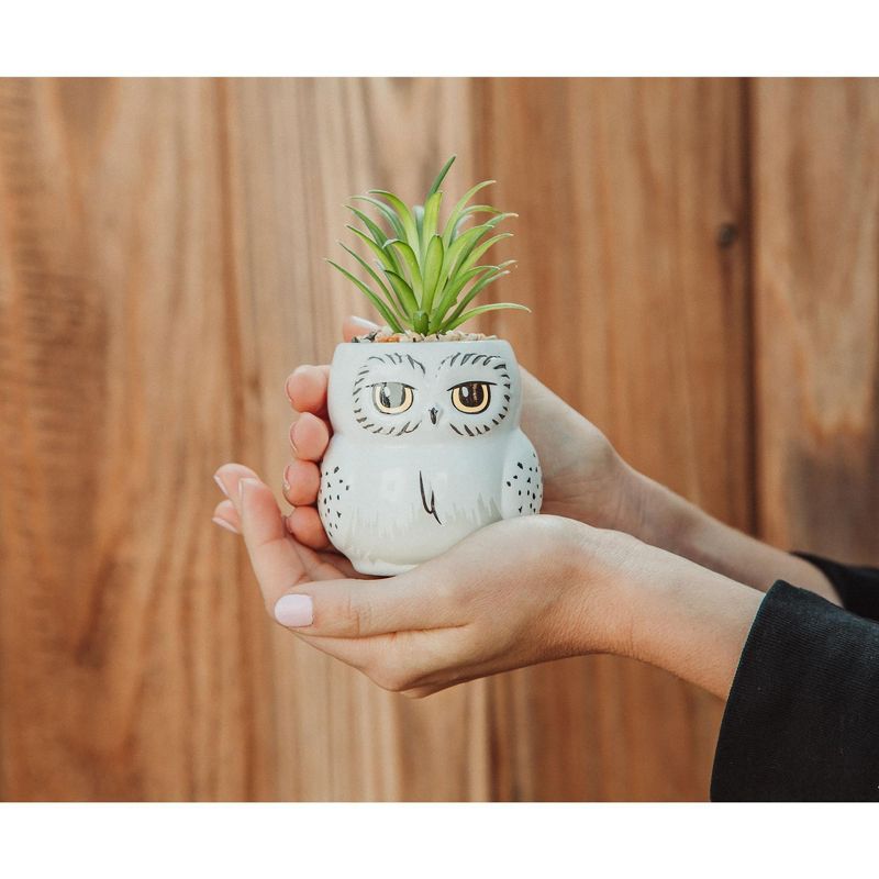 Silver Buffalo Harry Potter Hedwig 3-Inch Ceramic Mini Planter with Artificial Succulent, 3 of 8