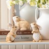 Sullivans 3.75" & 5" Outdoor Brown Bunnies Set of 3 - 3 of 4
