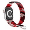 Waloo Magnetic Mesh Band For Apple Watch Series 10/9/8/7/6/5/4/3/2/1/SE/Ultra - 3 of 3