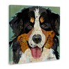 Stupell Industries Bernese Mountain Dog Collage Canvas Art, 17" x 17" - 2 of 4