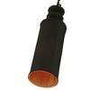 Livex Lighting Winchester 1 - Light Pendant in  Black - 3 of 4
