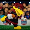 Bleacher Creatures South Carolina Gamecocks Cocky 10" Mascot Plush Figures - 4 of 4