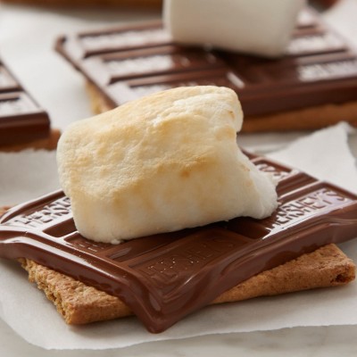 HERSHEY'S Milk Chocolate with Caramel S'mores Kit - 13.7oz