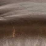 brown/black