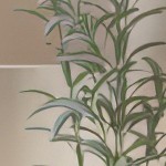 white top/black frame