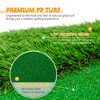 NAYSAYE Golf Trainers 10x5 FT Golf Putting Green Mat with 3 Holes Flags and Cups for Indoor Outdoor, Green, 118.11"*59.06"*1.97" - 4 of 4