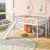 Full Low Loft Bed with Ladder & Slide, Gray - 2 of 3