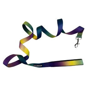 Doggie Design American River Ombre Leash - Cosmic Splash - 1 of 3