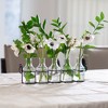 Le'raze 5pc Glass Flower Vases with Black Metal Holder - 2 of 4