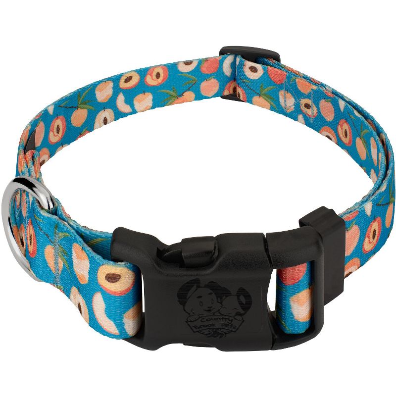 Country Brook Petz Deluxe Peaches Dog Collar - Made in the U.S.A., 1 of 6