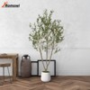 Romswi Faux Olive Tree with Oval White Planter, 6 FT Tall Faux Olive Trees, with Natural Wood Trunk Lifelike Fruits, Fake Greenry Plant for Home Decor - 2 of 4