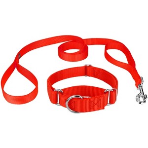 Country Brook Design Martingale Heavyduty Nylon Dog Collar and Double Handle Leash - 1 of 4