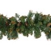 Northlight Pre-Lit Yorkville Pine Glittered Artificial Christmas Garland - 9' x 10" - Clear Lights - 3 of 3