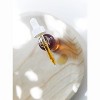 Little Seed Farm - Antioxidant Serum - Antioxidant Facial Serum for Dry & Aging Skin – Nourishing & Revitalizing Face Serum - (1 oz) - 2 of 3