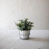 Mini 2-Piece Planter Gray Metal - Foreside Home & Garden - 2 of 4
