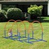 PawHut Dog Agility Training Equipment, 4 Piece Dog Agility Course for Old Dogs with Carrying Bag, Outdoor Use, Blue - 3 of 4