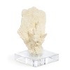 Park Hill Collection Maldives Faux Coral Accent Small - 4 of 4