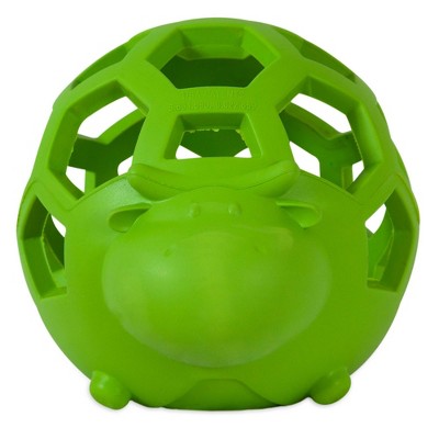 JW Pet Hol-ee Roller Dog Toy Puzzle Ball Medium : Pets fast delivery by App  or Online