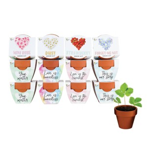 Buzzy Seeds 12pk Love Mini Rose Daisy Strawberry Forget-Me-Not Grow Pots Flower Kits - 1 of 4