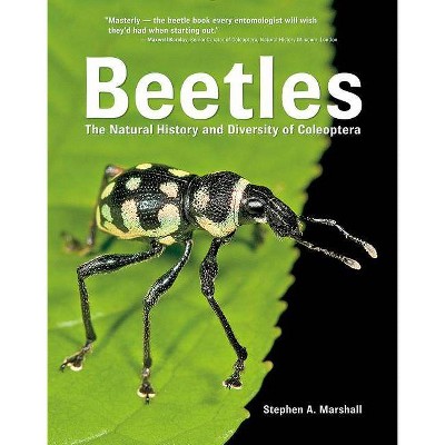 Beetles - by  Stephen Marshall (Hardcover)