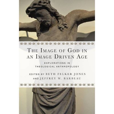 The Image of God in an Image Driven Age - (Wheaton Theology Conference) by  Beth Felker Jones & Jeffrey W Barbeau (Paperback)