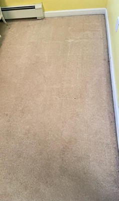 Guest review image 1 of 2, zoom in