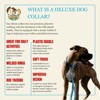 Country Brook Petz HossFit Jr Wide Deluxe Dog Collar - Critter Corner Collection - 4 of 4