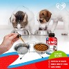 Beloved Pets Natural Intestinal Defense Herbal Cleanse for Dogs and Cats, Advanced Broad Spectrum Formula Gut Health Supplement 2 Oz - 1 Pack - 2 of 4