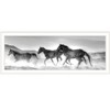 HomeRoots Horses Rolling By White Framed Print Wall Art - 4 of 4