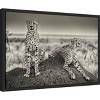 Amanti Art Two Cheetahs watching out by Henrike Scheid Canvas Wall Art Print Framed 23-in. x 16-in. - 2 of 4