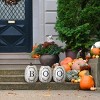 13" BOO Pumpkin Assortment - National Tree Company - 2 of 4