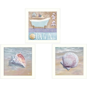 Shells II Collection 3-Piece Vignette By Mollie B. and G. Janisse, Printed Wall Art, Ready To Hang Framed Poster, White Frame - 1 of 1