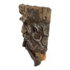 Northlight 10.25" Brown Tree Face Outdoor Garden Planter - 2 of 4