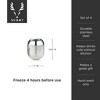 Glacier Rocks Stainless Steel Cubes by Viski - 3 of 4