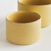 Plum & Post Studio Cachepots Planters, Set of 2 - 2 of 3