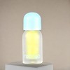 Tocobo Juicy Berry Pluming Lip Oil #11 Honey Lemon 0.14oz - Get the Honey Lemon Glow: Plump, Hydrate, and Shine - 3 of 4