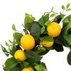 Northlight Lemons and Assorted Foliage Spring Wreath - 20" - Yellow - 4 of 4