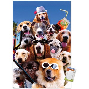 Trends International James Booker - Dog Selfie Unframed Wall Poster Prints - 1 of 4