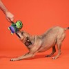 BARK Halloween Frankenstein's Party Monster Dog Plush Toy - 3 of 4