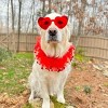 Midlee Valentine's Day Lips Decorative Dog Collar - 3 of 4