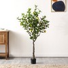 Artificial Tree - Faux 60" Potted Lemon Tree - FXP2011 - Green/Yellow - Safavieh - 2 of 4