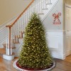 6' Prelit Dunhill Fir Artificial Christmas Tree Clear Lights - National Tree Company - 2 of 4