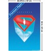 Trends International DC Comics Superman (2025) - Illustrated Shield Unframed Wall Poster Prints - 3 of 4
