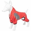 Pet Life (R) Active 'Fur-Breeze' Heathered Performance 4-Way Stretch Two-Toned Full Bodied Hoodie - 2 of 4