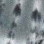 grey tie dye