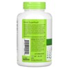 NutriBiotic Chlorella, 500 mg, 300 Vegan Tablets - 3 of 4