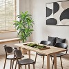 Acekool Artificial Brazilian Wood Tree with Pot, Realistic Indoor Faux Tree for Bedroom, Bathroom, Living Room, Office, and Entryway Décor - 4 of 4