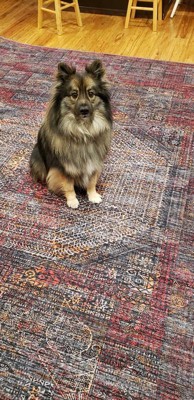 Guest review image 1 of 2, zoom in