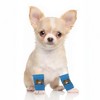 Unique Bargains Dog Leg Warmers Winter Warm Knitted Joint Protection Suitable for Kitten Puppies - 3 of 4