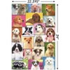 Trends International Keith Kimberlin - Puppies Grid Unframed Wall Poster Prints - 3 of 4
